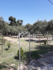 Οικόπεδο 1.200 τ.μ. για πώληση, Ζάκυνθος, Περιοχη Χώρας-thumb-1