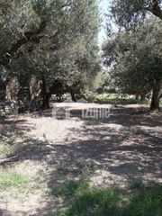 Οικόπεδο 1.200 τ.μ. για πώληση, Ζάκυνθος, Περιοχη Χώρας-thumb-3