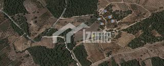 Οικόπεδο 8.246 τ.μ. για πώληση