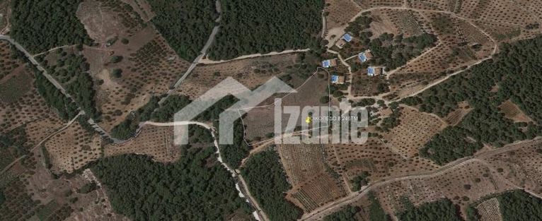 Οικόπεδο 8.246 τ.μ. για πώληση, Ζάκυνθος, Αρτεμίσιο