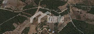 Οικόπεδο 8.246 τ.μ. για πώληση, Ζάκυνθος, Αρτεμίσιο-thumb-1
