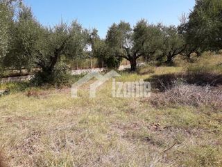 Οικόπεδο 6.500 τ.μ. πρός πώληση, Ζάκυνθος, Λαγανάς-thumb-3