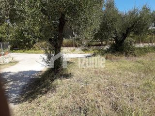 Οικόπεδο 6.500 τ.μ. πρός πώληση, Ζάκυνθος, Λαγανάς-thumb-4
