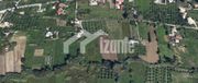 Land plot 6.500sqm for sale-Laganas