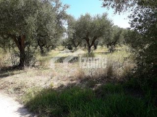 Οικόπεδο 6.500 τ.μ. πρός πώληση, Ζάκυνθος, Λαγανάς-thumb-2