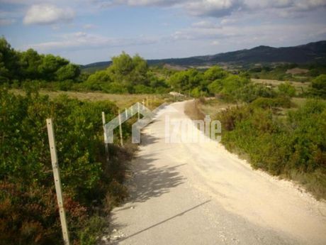 Οικόπεδο 87.000τ.μ. για πώληση-Ελάτιο