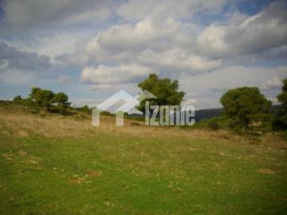 Οικόπεδο 87.000 τ.μ. για πώληση, Ζάκυνθος, Ελάτιο-thumb-1