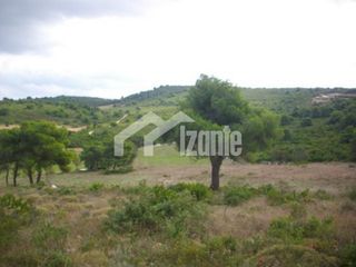 Οικόπεδο 87.000 τ.μ. για πώληση, Ζάκυνθος, Ελάτιο-thumb-3