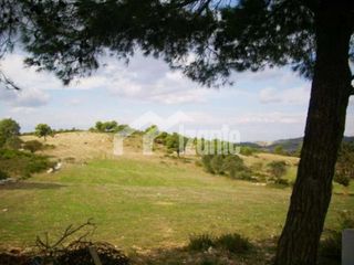 Οικόπεδο 87.000 τ.μ. για πώληση, Ζάκυνθος, Ελάτιο-thumb-2