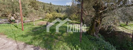 Οικόπεδο 8.100τ.μ. για πώληση-Περιοχη χώρας