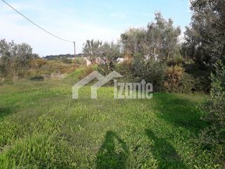 Οικόπεδο 3.500 τ.μ. για πώληση, Ζάκυνθος, Αρκάδι-thumb-6