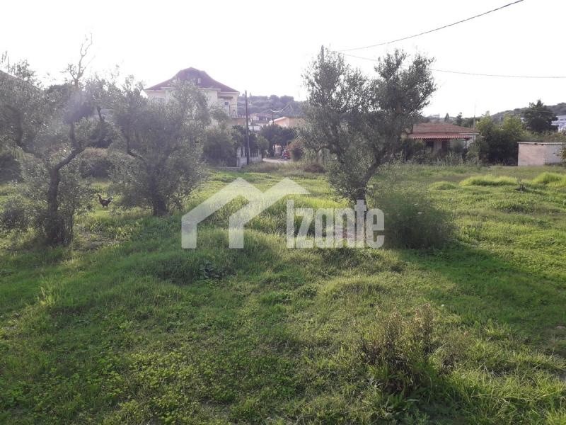 Οικόπεδο 3.500 τ.μ. προς πώληση, Τσιλιβή