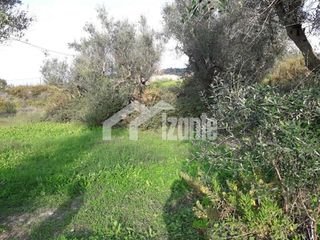 Οικόπεδο 3.500 τ.μ. για πώληση, Ζάκυνθος, Αρκάδι-thumb-5