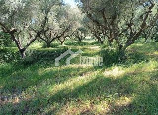 Οικόπεδο 5.100 τ.μ. για πώληση, Ζάκυνθος, Περιοχη Χώρας-thumb-4