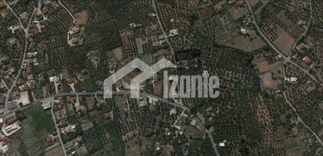 Οικόπεδο 4.339τ.μ. για πώληση-Λαγανάς