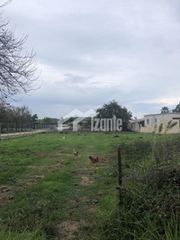 Οικόπεδο 2.897 τ.μ. για πώληση, Ζάκυνθος, Αρκάδι-thumb-1