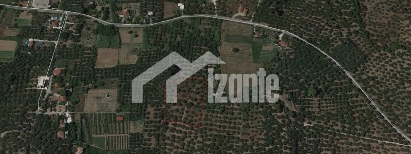 Αγροτεμάχια 7.150 τ.μ. πρός πώληση, Ζάκυνθος, Λαγανάς