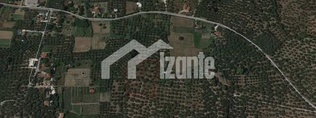 Αγροτεμάχια 7.150 τ.μ. για πώληση