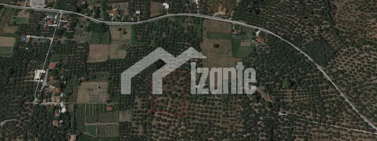 Αγροτεμάχια 7.150 τ.μ. για πώληση, Ζάκυνθος, Λαγανάς