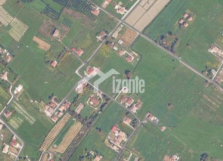 Οικόπεδο 4.250τ.μ. για πώληση-Αρκάδι