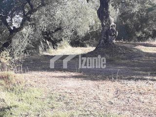 Οικόπεδο 4.050 τ.μ. για πώληση, Ζάκυνθος, Περιοχη Χώρας-thumb-4