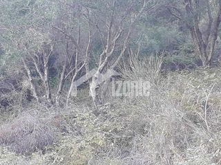 Οικόπεδο 4.050 τ.μ. για πώληση, Ζάκυνθος, Περιοχη Χώρας-thumb-3