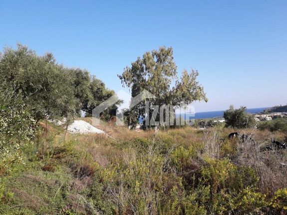 Land plot 2.400 sqm for sale, Zante, Arkadi