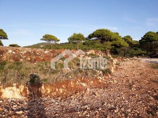 Οικόπεδο 15.169 τ.μ. για πώληση, Ζάκυνθος, Λαγανάς-thumb-9
