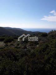 Οικόπεδο 4.032 τ.μ. για πώληση, Ζάκυνθος, Ελάτιο-thumb-1