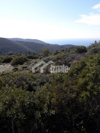 Land plot 4.032 sqm for sale, Zante, Elatio