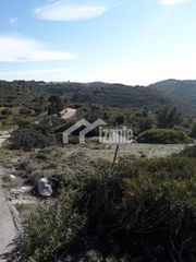 Οικόπεδο 6.072 τ.μ. για πώληση, Ζάκυνθος, Ελάτιο-thumb-1