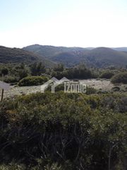 Οικόπεδο 6.072 τ.μ. για πώληση, Ζάκυνθος, Ελάτιο-thumb-2