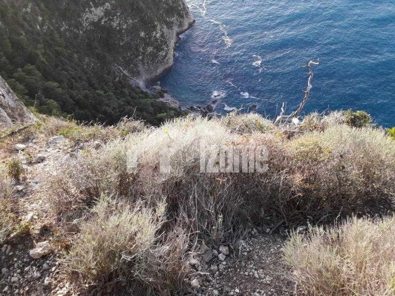 Οικόπεδο 46.000 τ.μ. πρός πώληση, Ζάκυνθος, Λαγανάς