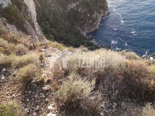 Οικόπεδο 46.000 τ.μ. για πώληση, Ζάκυνθος, Λαγανάς-thumb-3