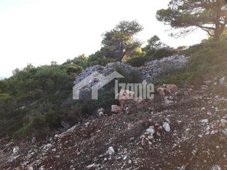 Οικόπεδο 46.000 τ.μ. για πώληση, Ζάκυνθος, Λαγανάς-thumb-6