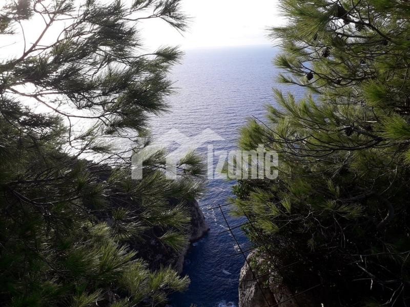 Οικόπεδο 46.000 τ.μ. πρός πώληση, Ζάκυνθος, Λαγανάς