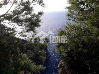 Οικόπεδο 46.000 τ.μ. για πώληση, Ζάκυνθος, Λαγανάς-thumb-1