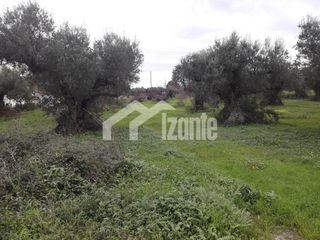 Οικόπεδο 7.000 τ.μ. για πώληση, Ζάκυνθος, Αρκάδι-thumb-1