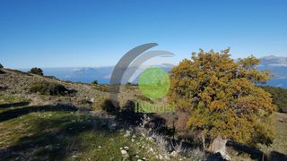 Οικόπεδο 15.600 τ.μ. πρός πώληση, Αχαΐα, Ρίο-thumb-1