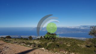 Οικόπεδο 15.600 τ.μ. για πώληση