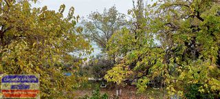 Μονοκατοικία 450 τ.μ. για πώληση, Ν. Καβάλας, Καβάλα-thumb-21
