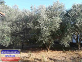 Μονοκατοικία 88 τ.μ. για πώληση, Ν. Καβάλας, Ελευθερούπολη-thumb-6