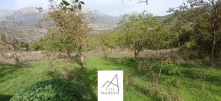 Αγροτεμάχια 8.756 τ.μ. για πώληση, Ευρυτανία, Καρπενήσι-thumb-7