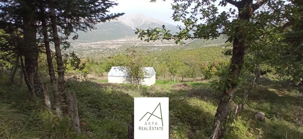 Αγροτεμάχια 8.756 τ.μ. προς πώληση, Καρπενήσι