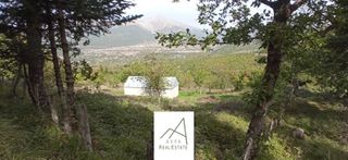 Αγροτεμάχια 8.756 τ.μ. για πώληση, Ευρυτανία, Καρπενήσι-thumb-1