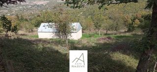 Αγροτεμάχια 8.756 τ.μ. για πώληση, Ευρυτανία, Καρπενήσι-thumb-3