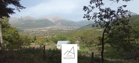 Αγροτεμάχια 8.756 τ.μ. για πώληση