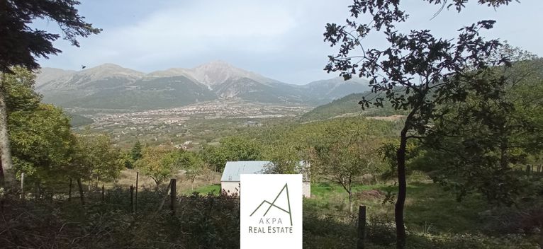 Αγροτεμάχια 8.756 τ.μ. για πώληση, Ευρυτανία, Καρπενήσι