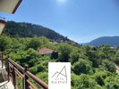 Detached home 235sqm for sale-Karpenisi