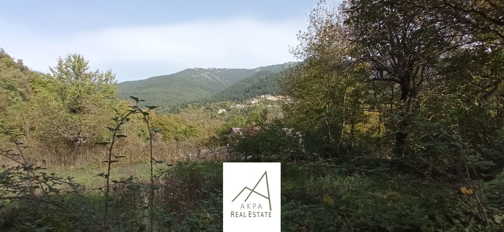 Οικόπεδο 900 τ.μ. προς πώληση, Ποταμιά Ευρυτανίας